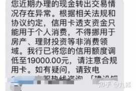 渑池为什么选择专业追讨公司来处理您的债务纠纷？